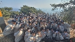 12일차('23. 2. 5.) 대표 이미지